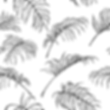 Shrivelled Leaves Black