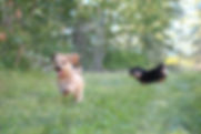 IMG_6087.jpeg