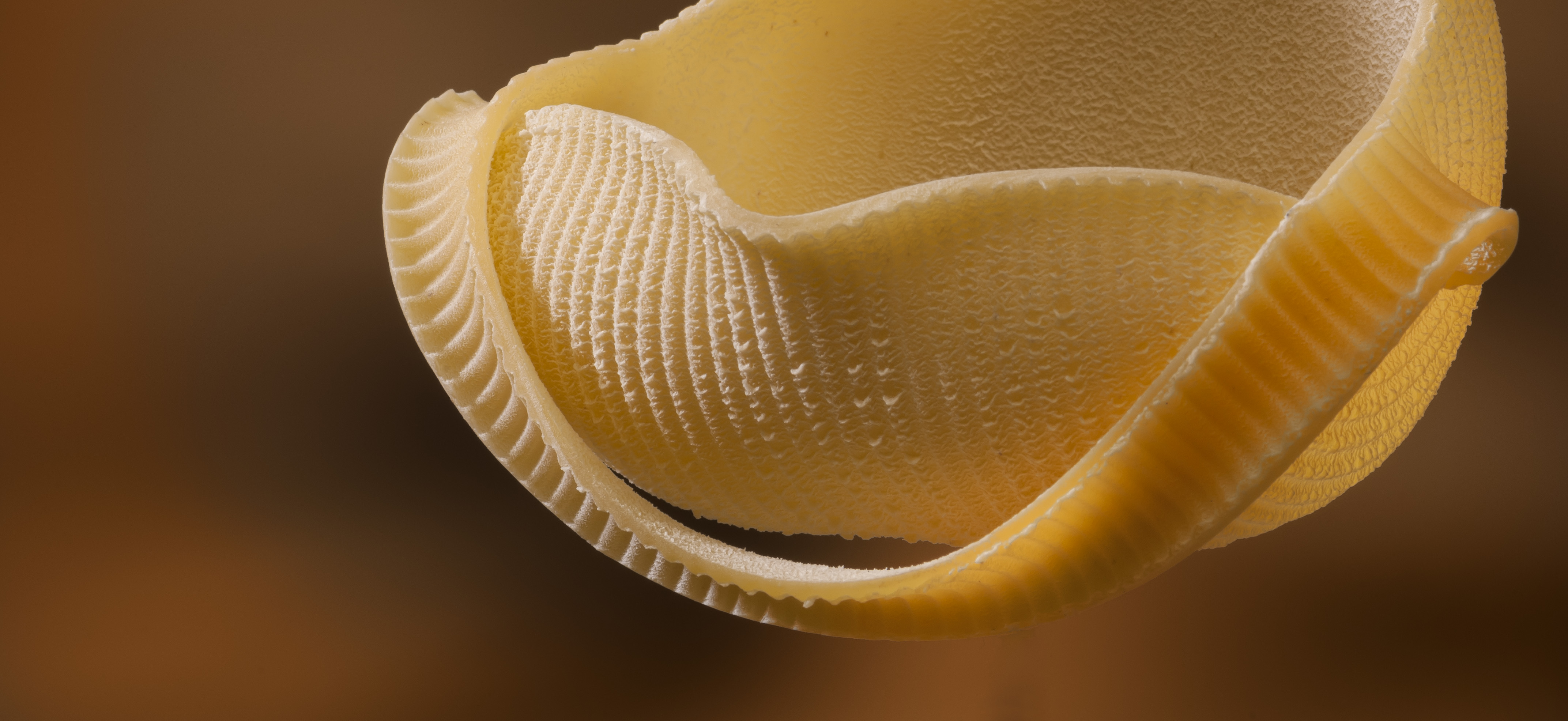 La Fabbrica della Pasta
