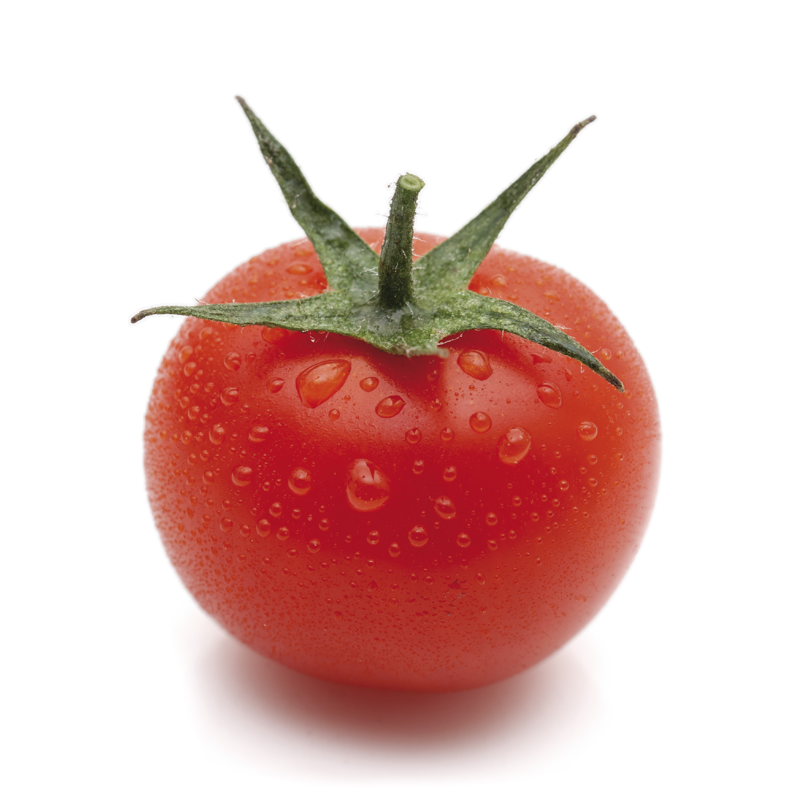 Pomodorino
