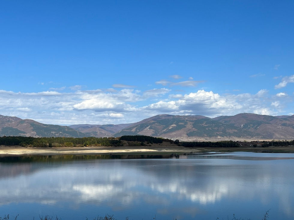 Mirror dam