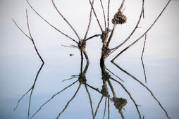 20151206_camping isla_5270.jpg