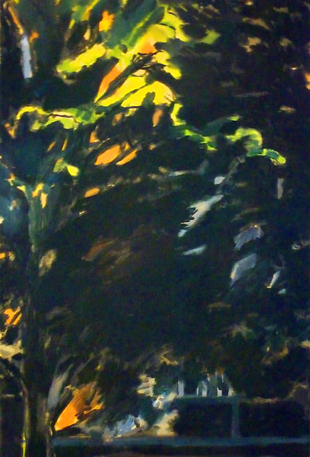 D J Roberts-Woodland.jpg