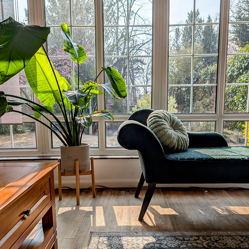 Sunlit room with green chaise lounge, OAT Interiors Surrey