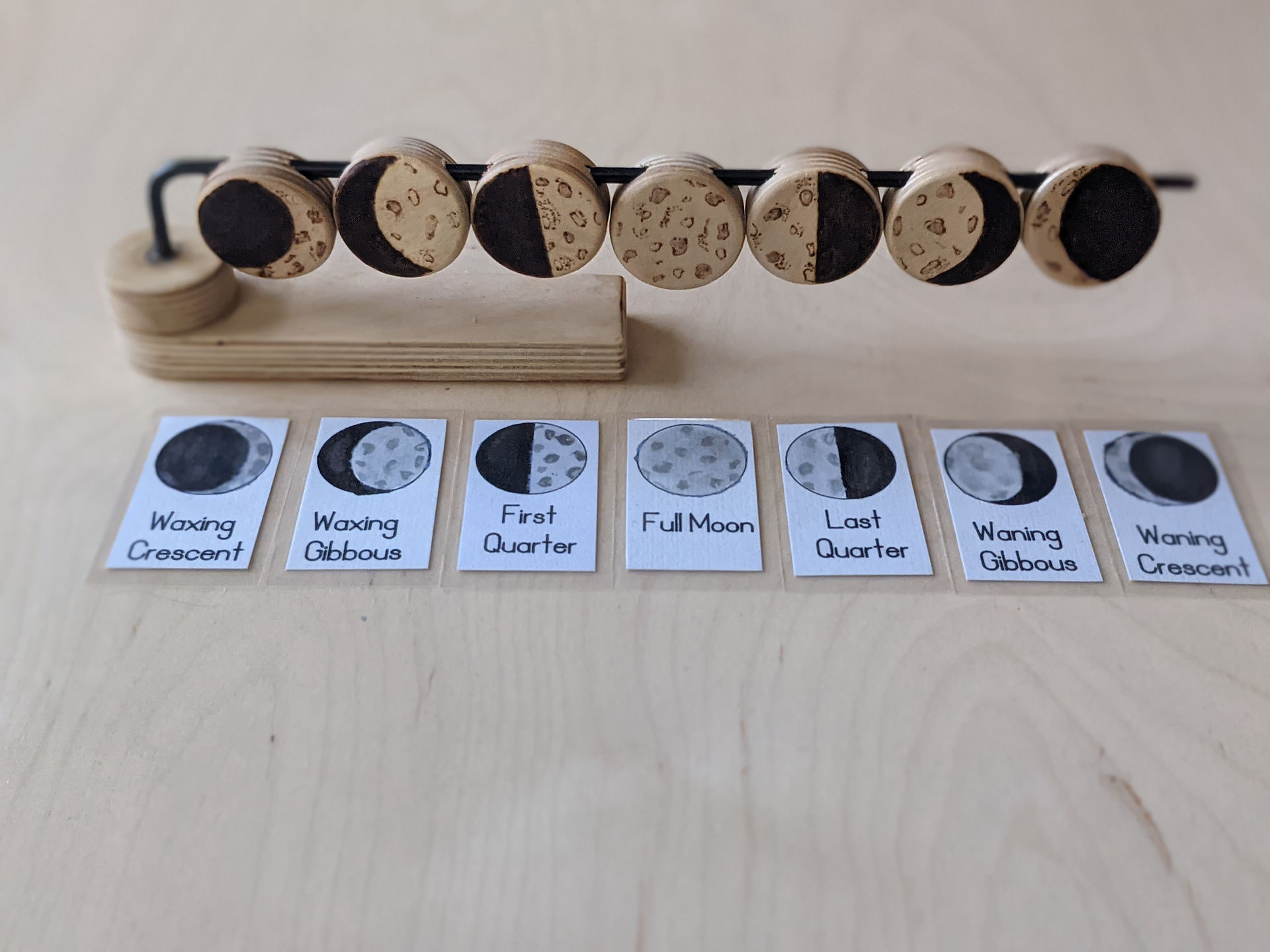 Phases of the Moon