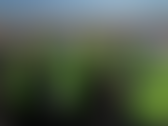 Neom shares details of future opportunities with over 100 Global Contractors