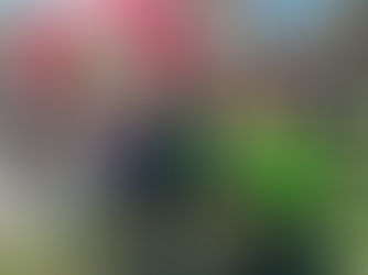 Staffetta Magnifico Borgo 29.03.2026