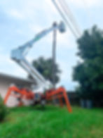 Avoiding powerlines while trimming trees.
