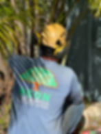 Inspecting Melbourne FL landscapoing