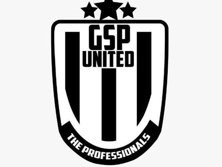 PARTNERSHIP AGREEMENT WITH GSP UNITED