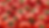 tomato background website.png