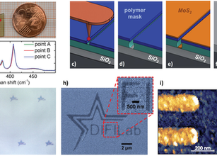 Scalable 2D Semiconductor Nanocircuits