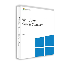 Server 2022 - website.png