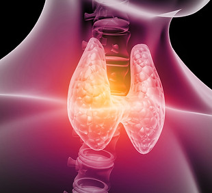 Thyroid Pic.jpeg