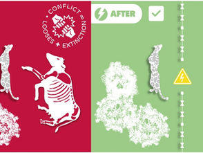 Moving towards coexistence: Integrating social and ecological indicators to assess human-jaguar conflict mitigation in southern Mexico