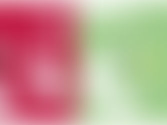 Moving towards coexistence: Integrating social and ecological indicators to assess human-jaguar conflict mitigation in southern Mexico