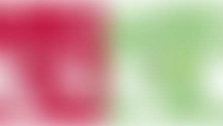 Moving towards coexistence: Integrating social and ecological indicators to assess human-jaguar conflict mitigation in southern Mexico