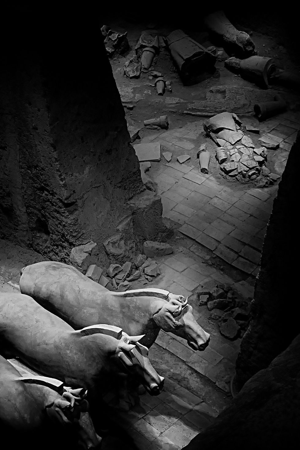 Terracotta Warriors Photo Danica O. Kus 001