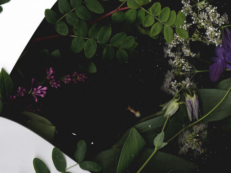 Luovuuden suoja – 7 vinkkiä tekijänoikeuksien hallintaan