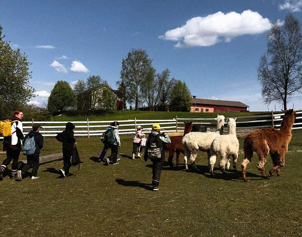 Takalan kotieläinpihalla kouluryhmä vierailulla