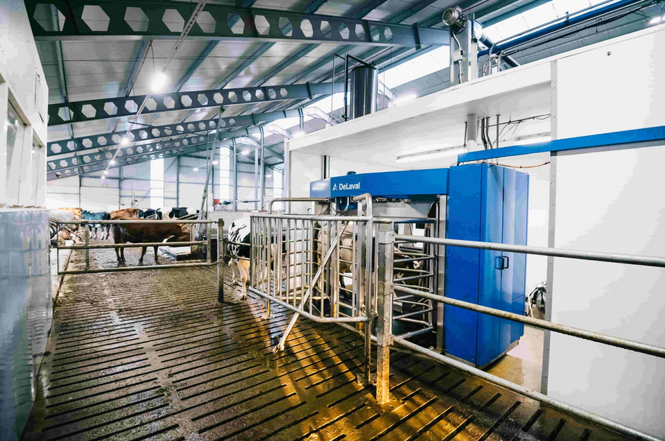 Budynki inwentarskie Conexx