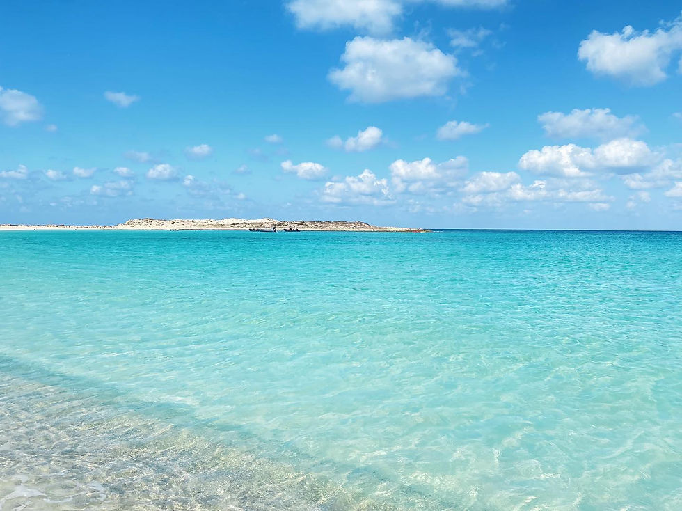 Top Picnic Spots On Egypt’s North Coast Top Picnic Spots On Egypt’s North Coast