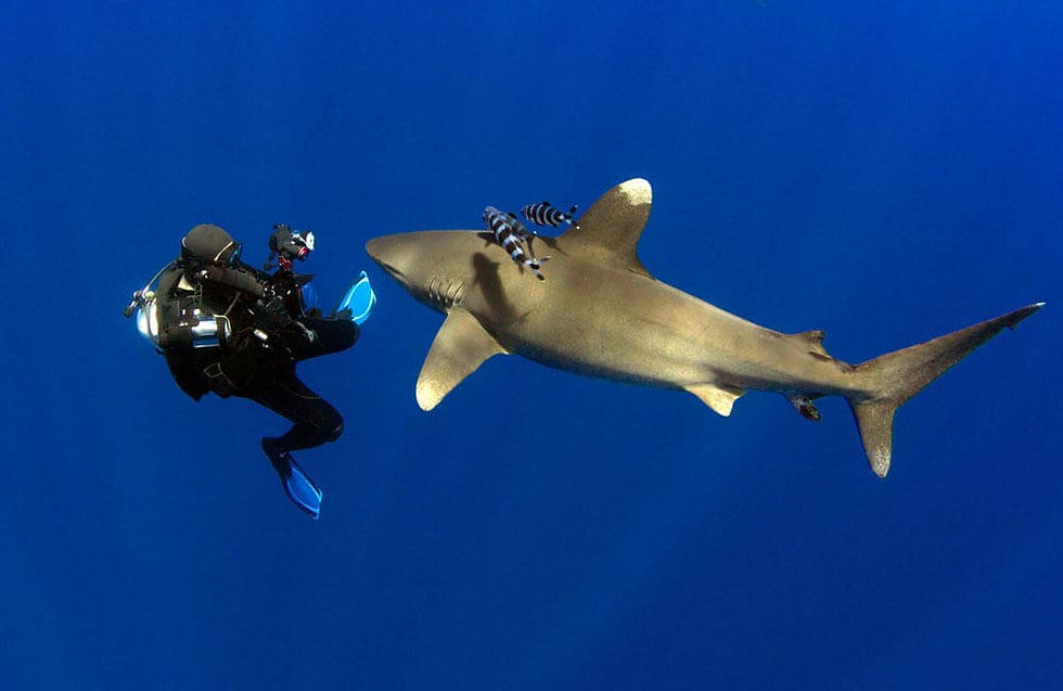 Ikhwa islands diving