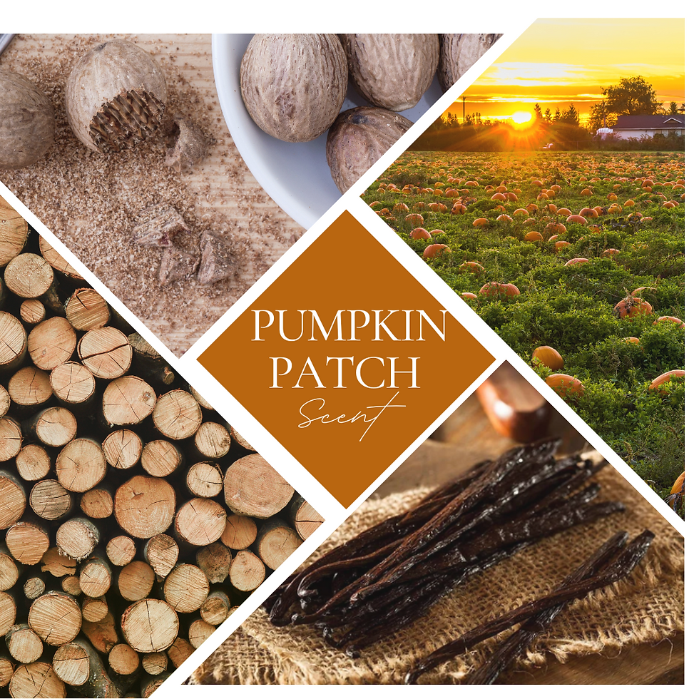 Mood board for Pumpkin Patch scent to include nutmeg, pumpkin, oak and vanilla