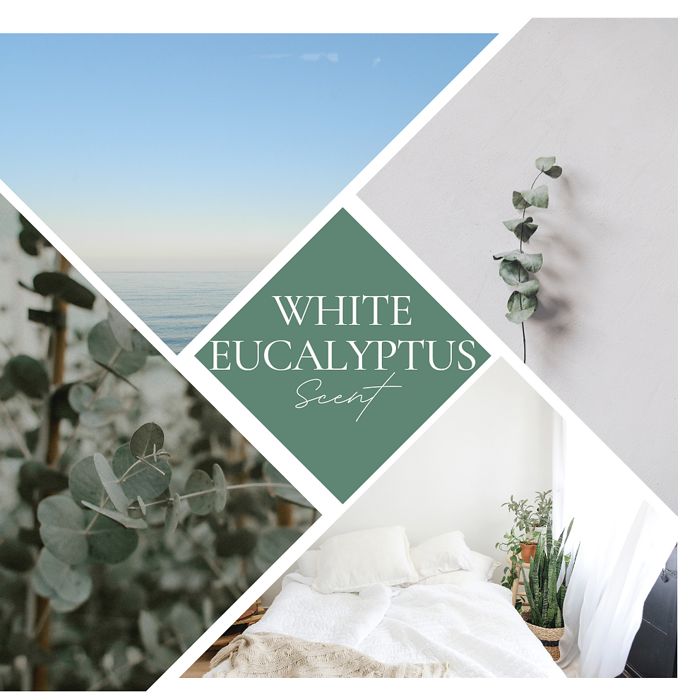 Thumbnail: White Eucalyptus