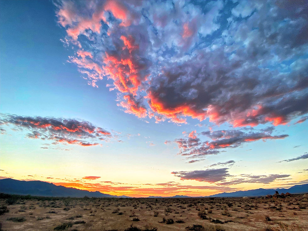 IMG_9667 3_edited.jpg