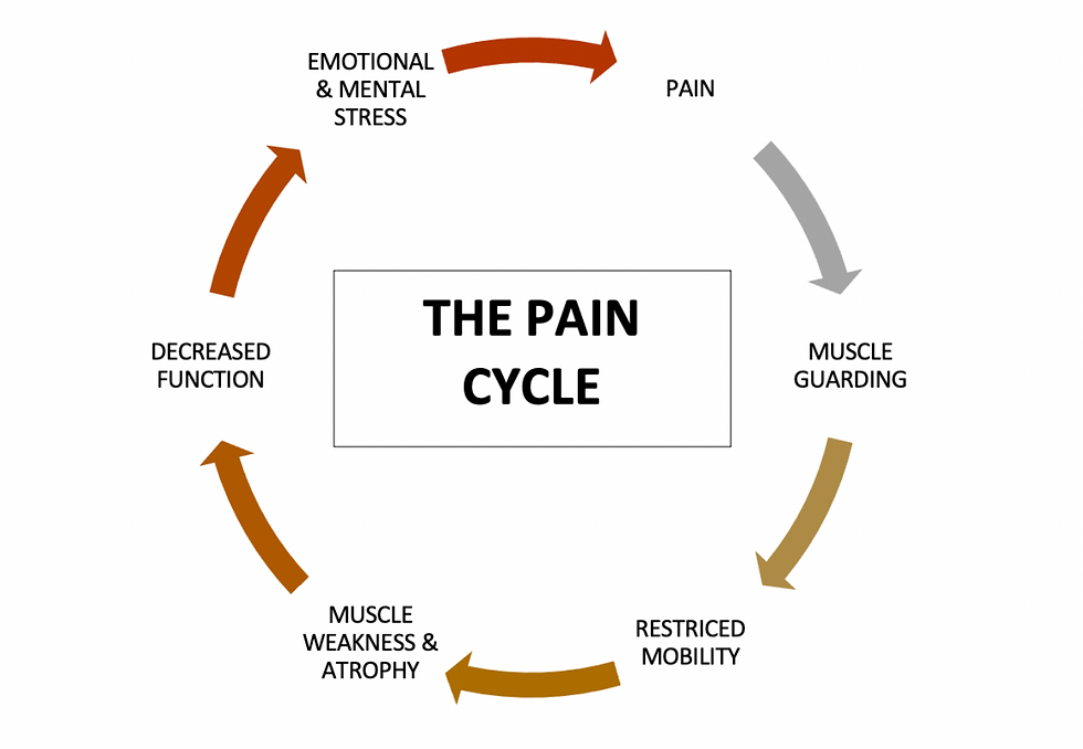 The pain cycle includes sense, emotion, and thought. Image via https://drmartinschmaltz.com/