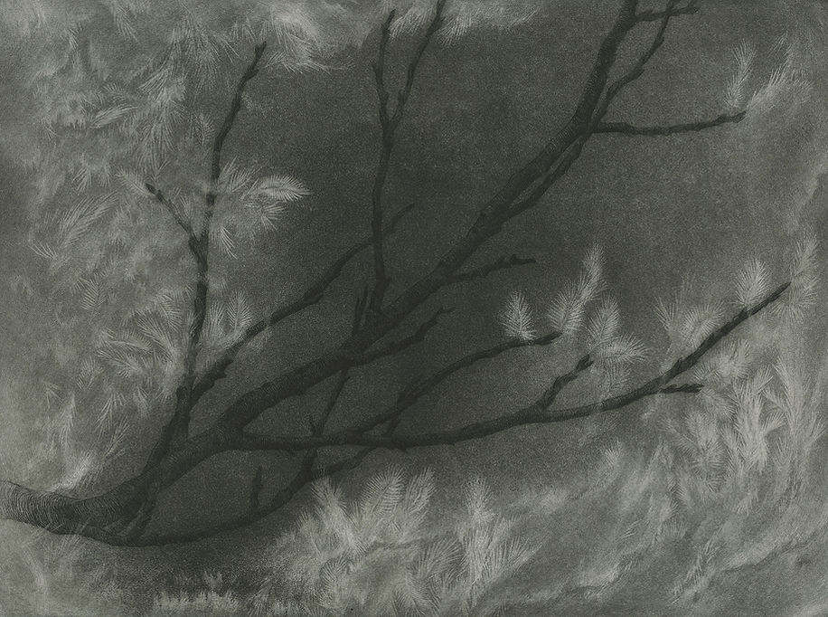 Inken Stabell Frühlingstraum