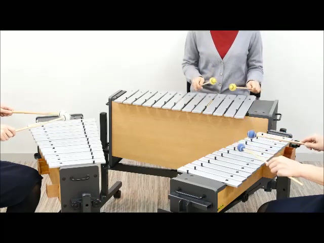 Thumbnail: Suzuki Premium 13-Key Metallophones