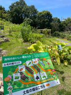IMG_5637.jpeg
