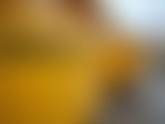 Aluguel Urgente de Caçambas: Como Fazer em São Paulo