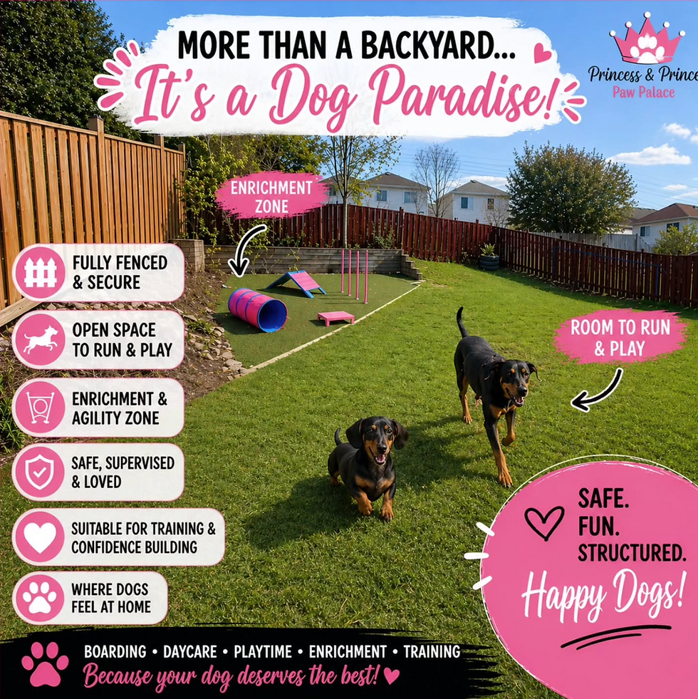 Backyard Dog Paradise