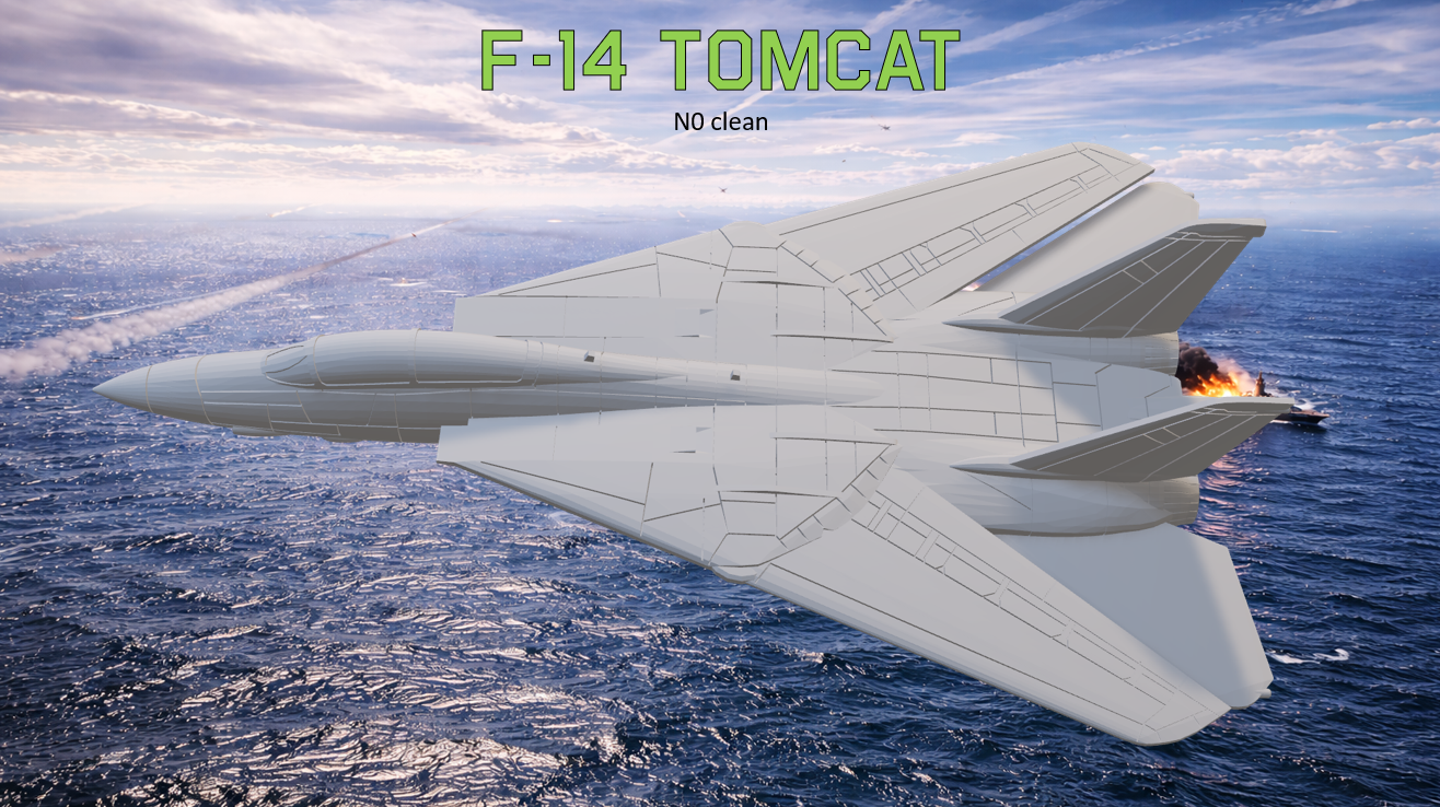 F-14A Tomcat Clean
