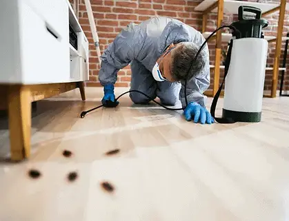 Pest-Control-Service-