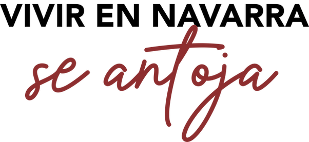 VIVIR EN NAVARRA SE ANTOJA.png