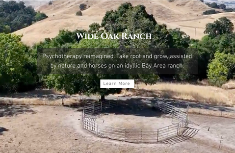 Wide Oak Ranch Website Upgrade