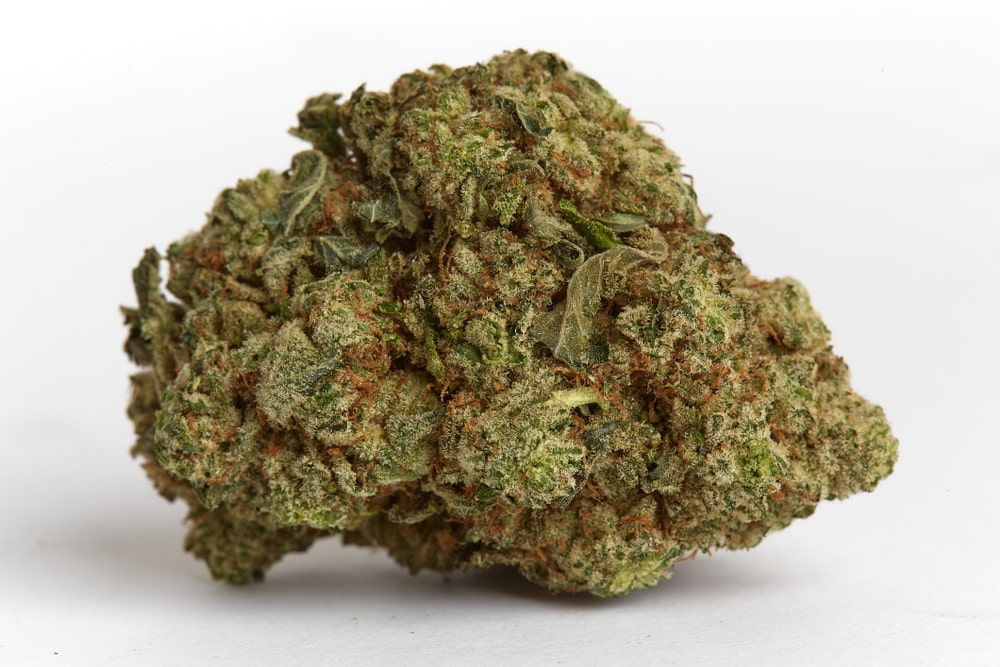 PINEAPPLE EXPRESS - EXOTIC