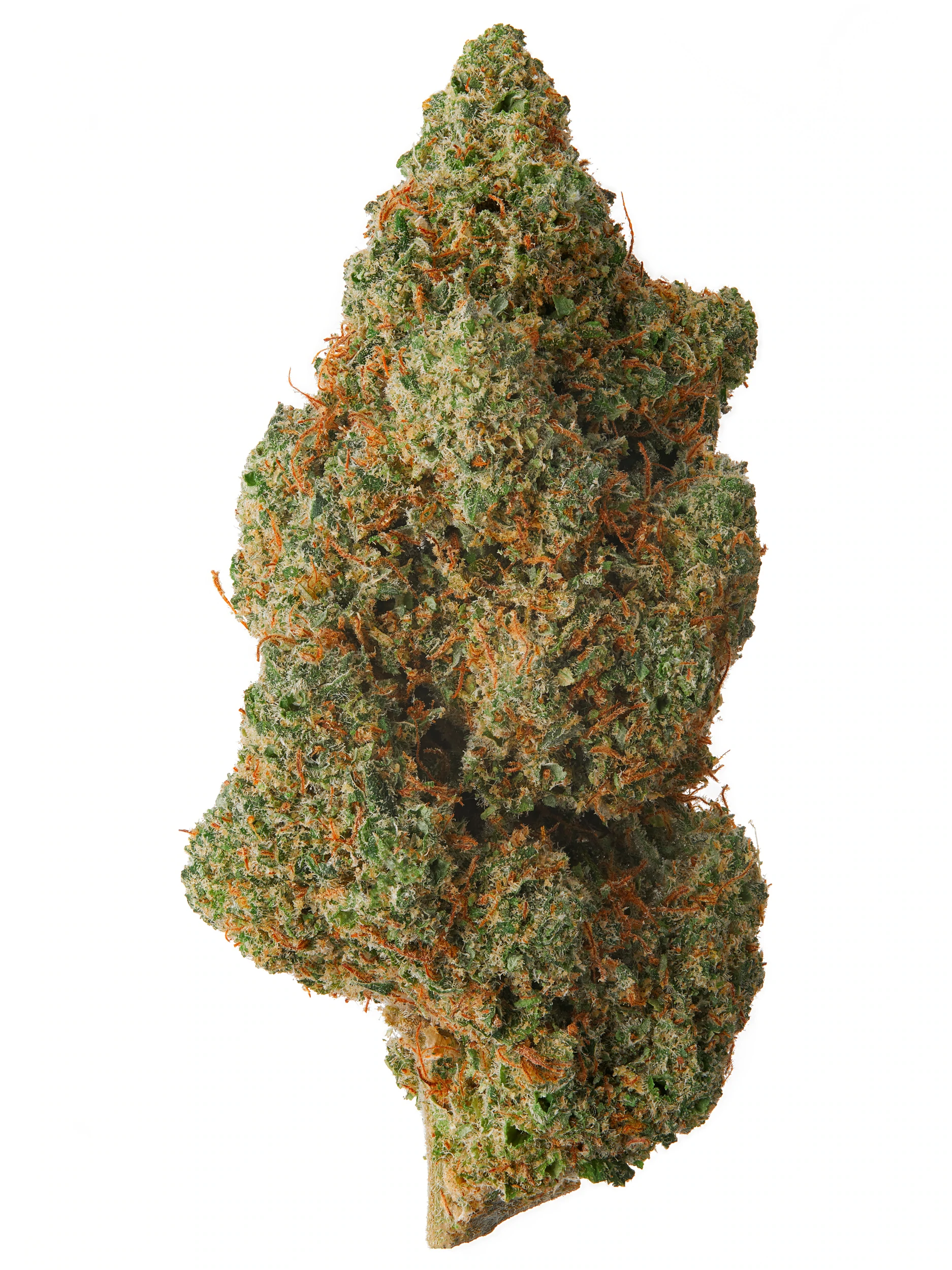 SUNSET MAC - PRIVATE RESERVE