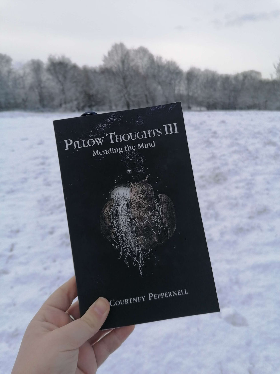 A hand holds up Pillow Thoughts III in front of a snow covered field with bare branched trees in the background