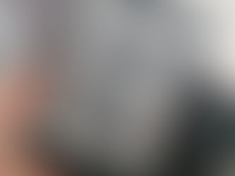 Review: War of the Roses by Iris Morland