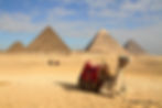 Egypt & Jordan