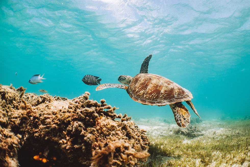 Great Barrier Reef
