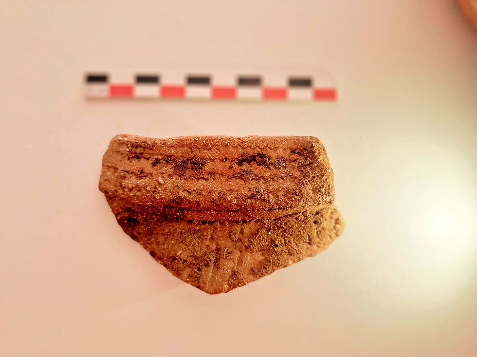 Cavalaire-sur-Mer in Provenza - Ceramica con motivi decorativi dell'epoca cardiale antico - Foto C.X. Chadefaux Inrap