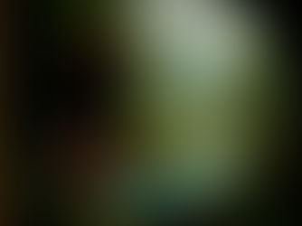 esisteva una valle nascosta, avvolta nel mistero e protetta dal potere di Shahmaran, la creatura metà serpente, metà donna