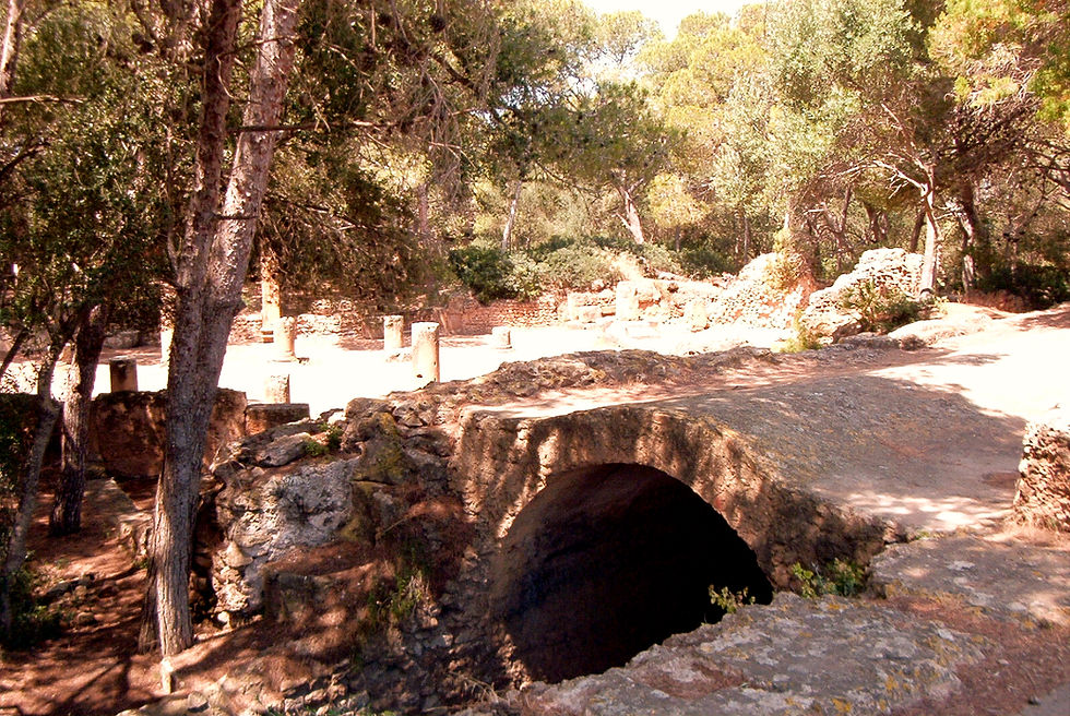 La piazza del foro e il criptoportico