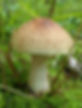 image000004.jpg